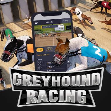 Slot makinesi Greyhound Racing