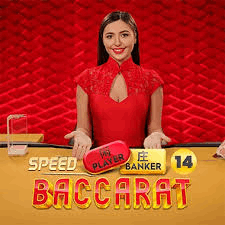 Slot makinesi N14 Baccarat