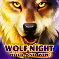 Slot makinesi Wolf Night