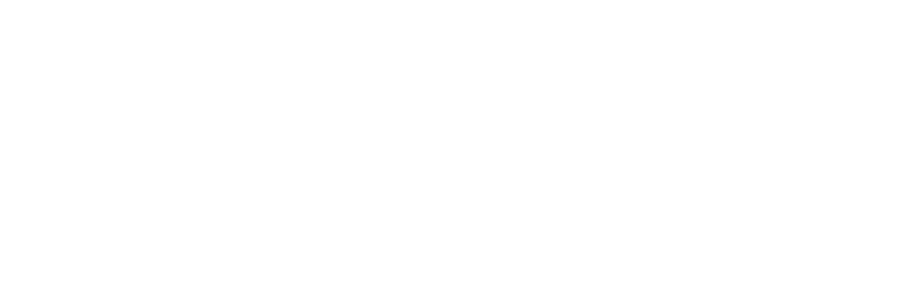 Aviatrix